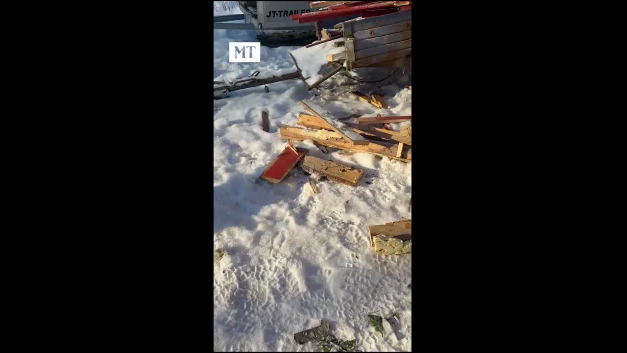 Kärppä ärhentelee kissalle