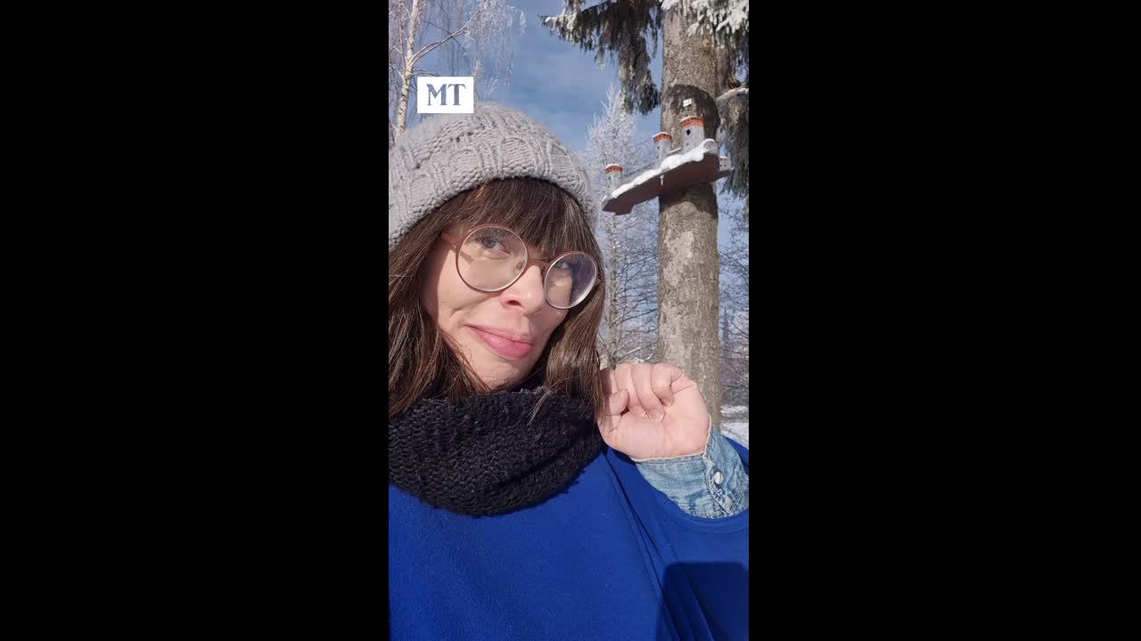 Marko Ruuskasen linnunpöntöt Savonlinnassa