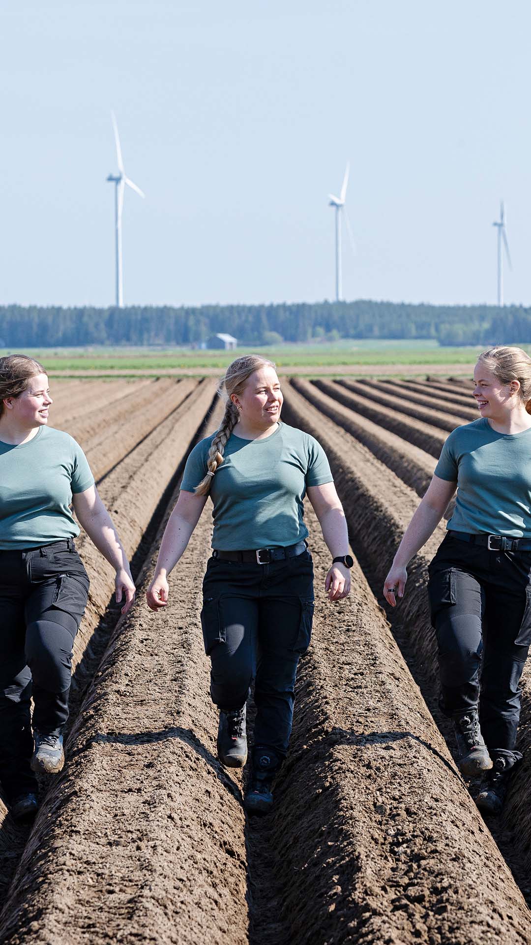 Penttilän siskokset istuttavat perunaa
